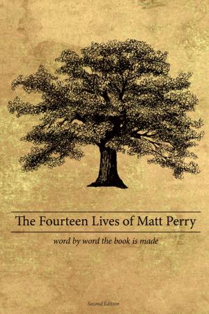 Cover of the book The Fourteen Lives of Matt Perry by Sam Curtis