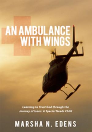 Cover of the book An Ambulance with Wings by Mikael Le Roy