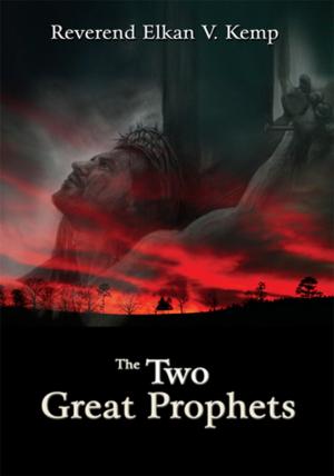 Book cover of The Two Great Prophets