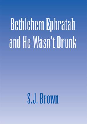 Cover of the book Bethlehem Ephratah and He Wasn't Drunk by Saul Marc Rosenfeld
