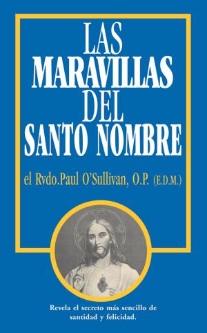 Book cover of Las Maravillas del Santo Nombre