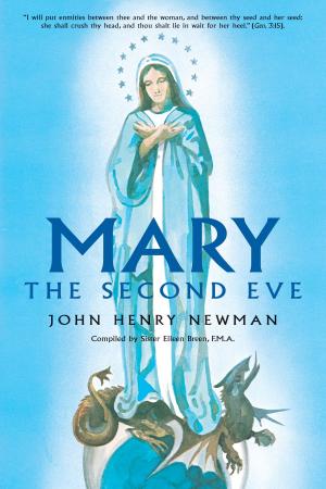Cover of the book Mary by Rev. Fr. Jean-Pierre de Caussade