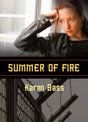 Cover of the book Summer of Fire by Sarah Kathryn York