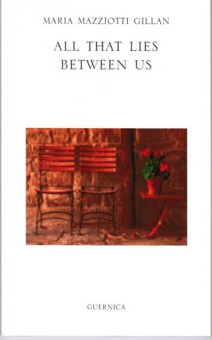 Cover of the book All That Lies Between Us by Évelyne Wilwerth