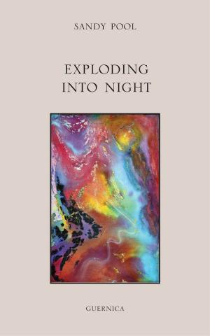 Cover of the book Exploding Into Night by Juhan Liiv