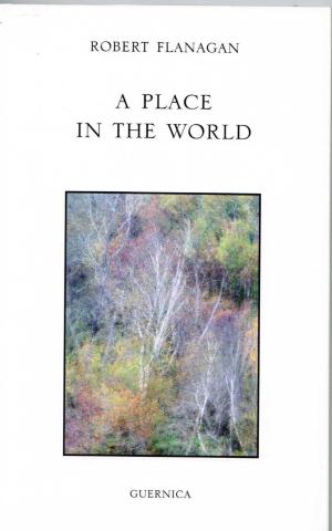 Cover of the book A PLACE IN THE WORLD by Sue Chenette
