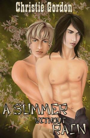Cover of the book A Summer Without Rain by Kira Chase