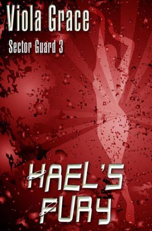 Cover of the book Hael's Fury by Orrie Hitt