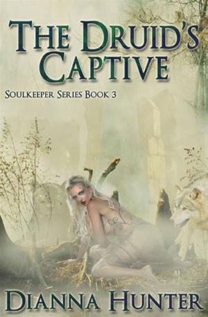 Book cover of The Druid's Captive