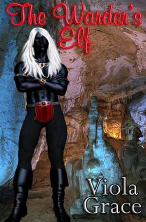 Cover of the book The Warder's Elf by Nicety