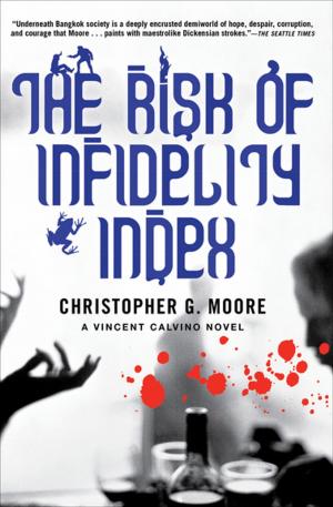 Cover of the book The Risk of Infidelity Index by J. P. Donleavy