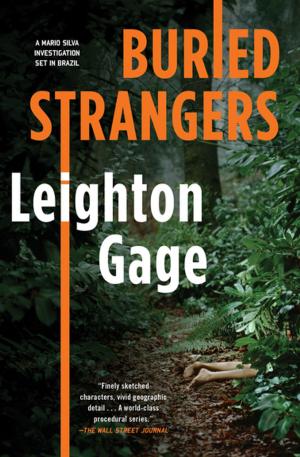 Cover of the book Buried Strangers by Francine Mathews