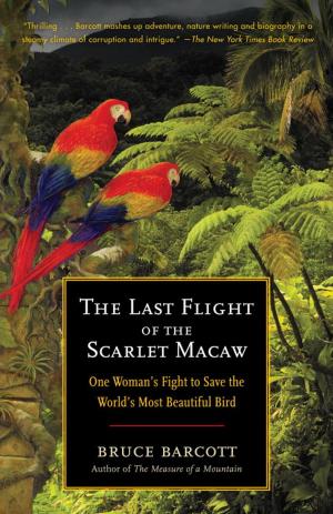 Cover of the book The Last Flight of the Scarlet Macaw by Peter Brazaitis