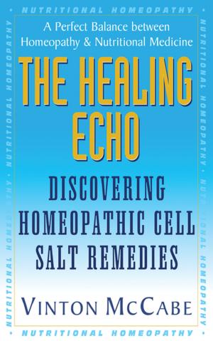 Cover of the book The Healing Echo by Barbara Notarius, Gail Sforza Brewer