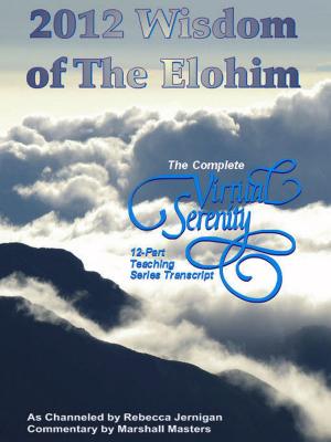 Cover of the book 2012 Wisdom of The Elohim by Carol McKay
