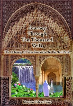 Cover of the book Journey Through Ten Thousand Veils by Recep Dogan