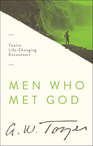 Cover of the book Men Who Met God by James Spiegel