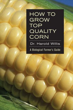 Cover of the book How to Grow Top Quality Corn by Margareth Sekera