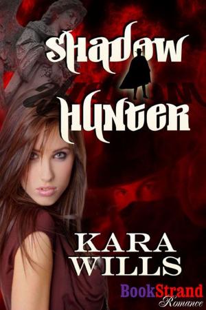 Cover of the book Shadow Hunter by Rose Nickol