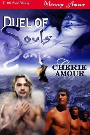 Cover of the book Duel Of Souls by Marcy Jacks