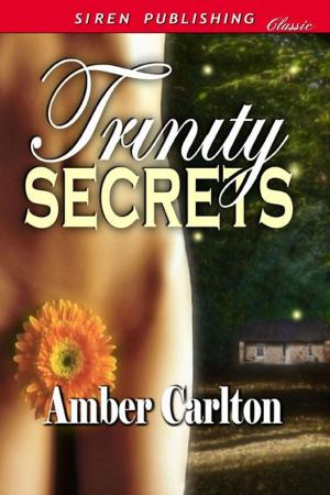 Cover of the book Trinity Secrets by Lynn Hagen