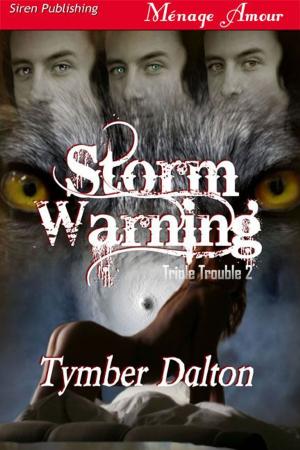 Cover of the book Storm Warning by Beth Barany
