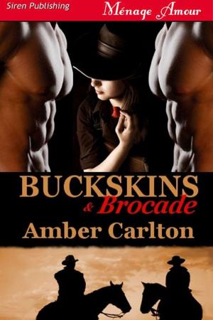 bigCover of the book Buckskins And Brocade by 