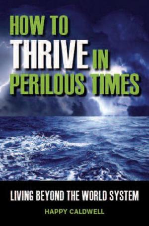 Cover of the book How to Thrive in Perilous Times by James Riddle