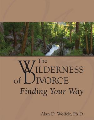 Cover of the book The Wilderness of Divorce by Kirby J. Duvall, MD, Alan D. Wolfelt, PhD