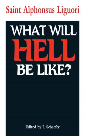 Cover of the book What Will Hell Be Like? by Rev. Fr. Ralph Wiltgen S.V.D.