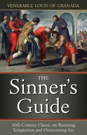 Cover of the book The Sinner’s Guide by Maureen K. McDevitt