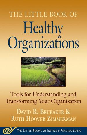 Book cover of Little Book of Healthy Organizations