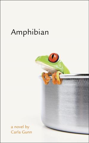 Cover of the book Amphibian by Kelli María Korducki