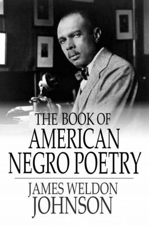 Cover of the book The Book of American Negro Poetry by J. Storer Clouston