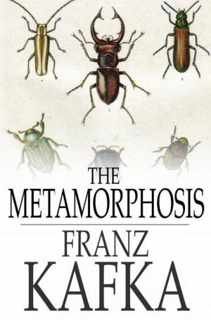 bigCover of the book The Metamorphosis by 