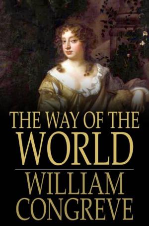 Cover of the book The Way of the World by Edward Bellamy
