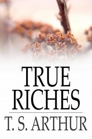 Cover of the book True Riches by Poul Anderson, Karen Anderson
