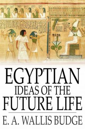 Cover of the book Egyptian Ideas of the Future Life by August Strindberg