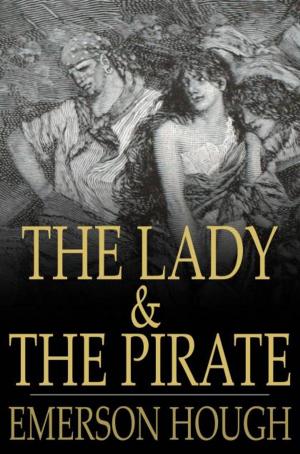 Cover of the book The Lady and the Pirate by Annie F. Johnston