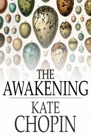 Cover of the book The Awakening by Winston Churchill