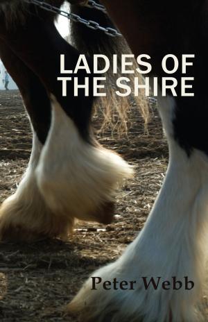 Cover of the book Ladies of the Shire by Karin Suzanne Cupper