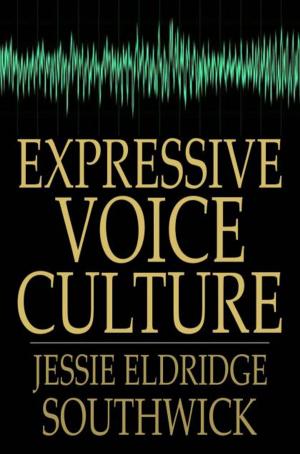 Cover of the book Expressive Voice Culture by Jean Villiot