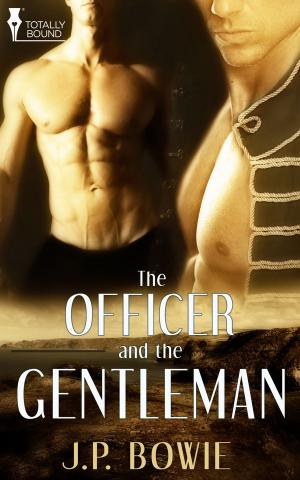 Cover of the book The Officer and the Gentleman by January Bain