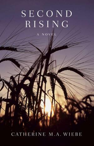 Cover of the book Second Rising by Kate Braid