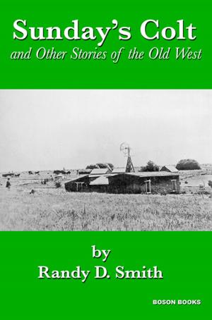 Cover of the book Sunday's Colt and Other Stories of the Old West by John A.  Broussard