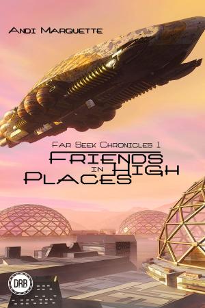Cover of the book Friends in High Places by Cordia St Clair