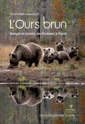 Cover of the book L'Ours brun by Mary Ann Bator-Gray