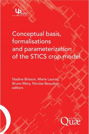 Cover of the book Conceptual Basis, Formalisations and Parameterization of the Stics Crop Model by Jean-François Théry, Emmanuel Hirsch, Jean-Michel Besnier