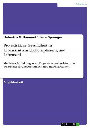 Book cover of Projektskizze Gesundheit in Lebensentwurf, Lebensplanung und Lebensstil