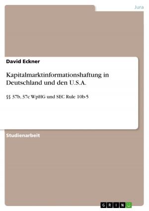 Book cover of Kapitalmarktinformationshaftung in Deutschland und den U.S.A.